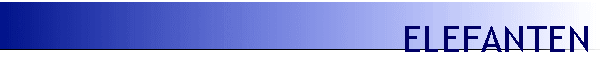 ELEFANTEN