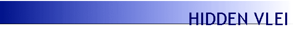 HIDDEN VLEI