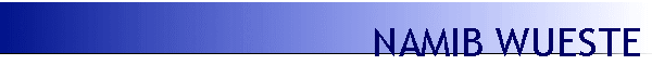 NAMIB WUESTE