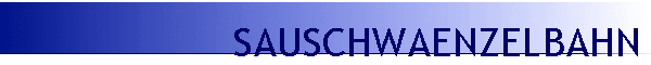 SAUSCHWAENZELBAHN