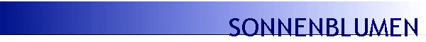 SONNENBLUMEN