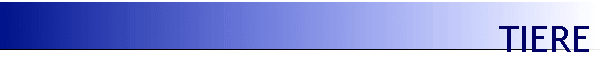 TIERE