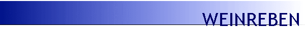 WEINREBEN